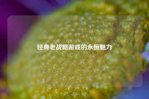 经典老战略游戏的永恒魅力